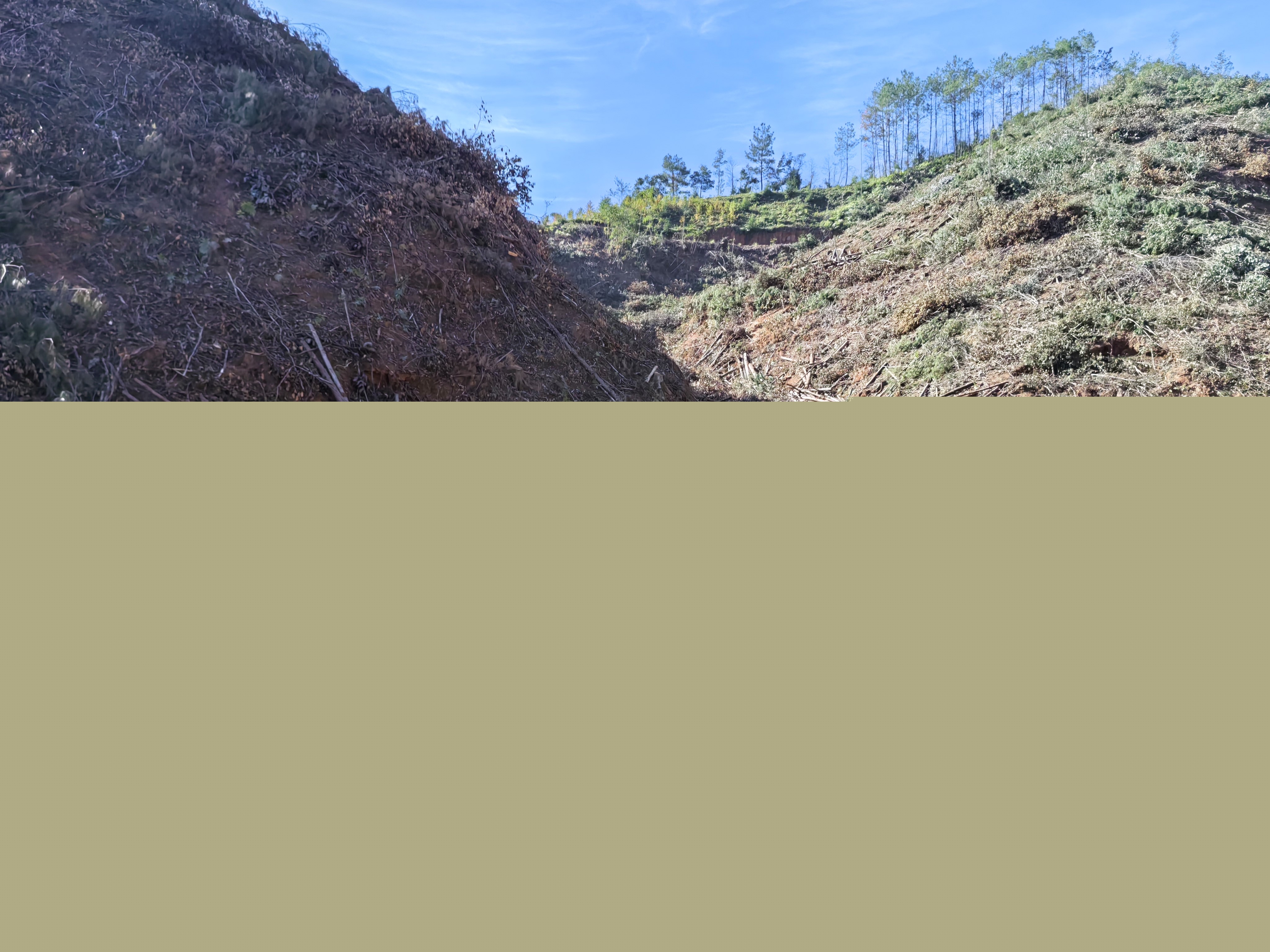 平安常青，我們在行動——常青分公司開展安全生產日活動