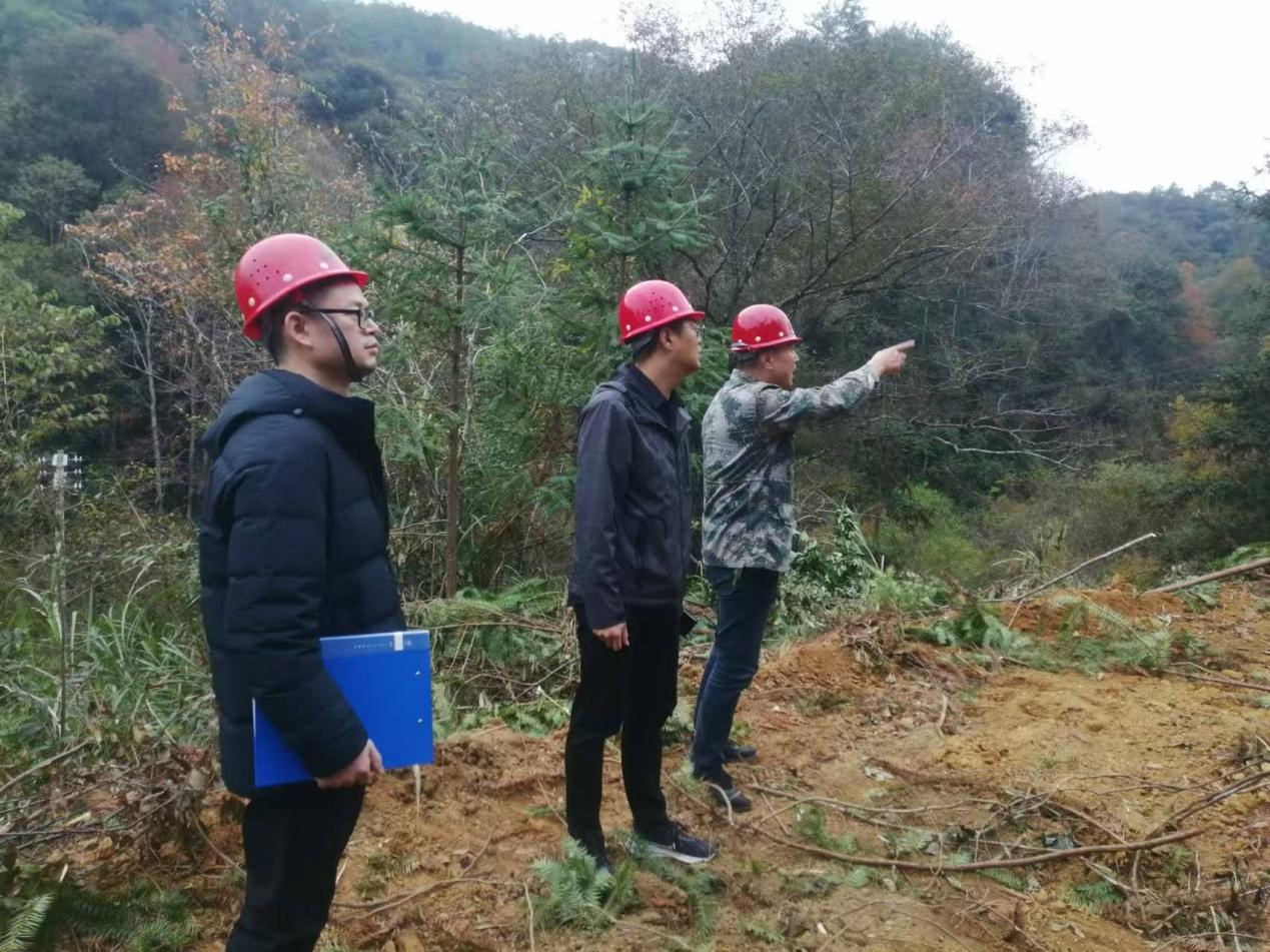 全面強化安全責任，嚴守森林防火線——福建金森全力保障生產安全